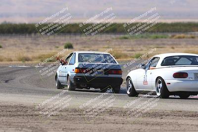 media/Oct-04-2025-OnGrid (Sat) [[44bd565ffa]]/Purple Group/Grapevine/